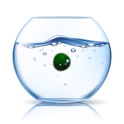 marimo #6823