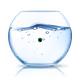 6023