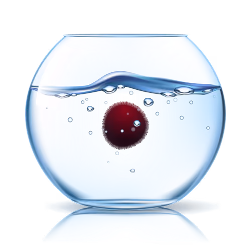 marimo #3191