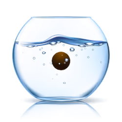 marimo #6578