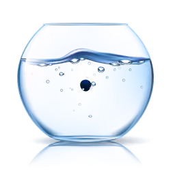 marimo #6216