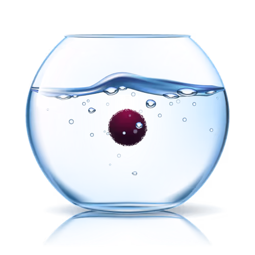 Marimo Life