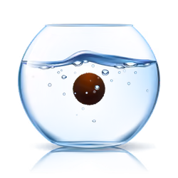marimo #61
