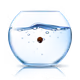 5566