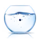 5681