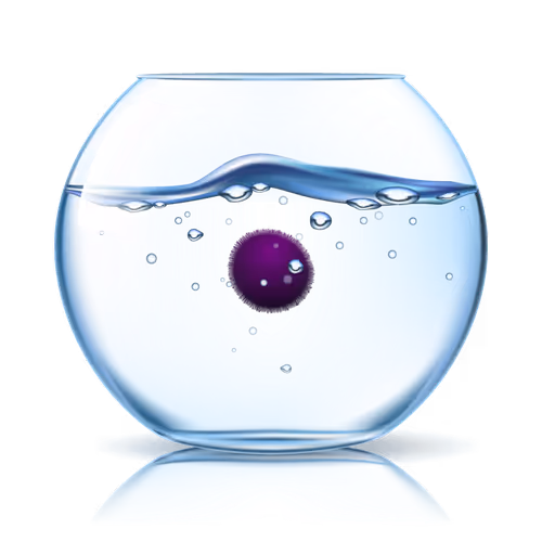 marimo #3714