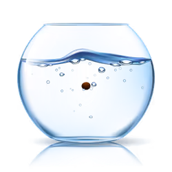 marimo #9642