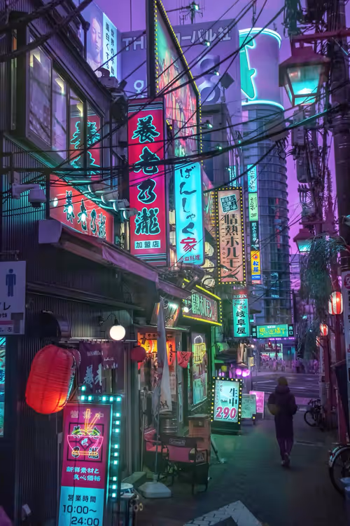 Item #24100010135 Media