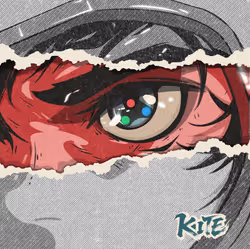 FLY THE KITE