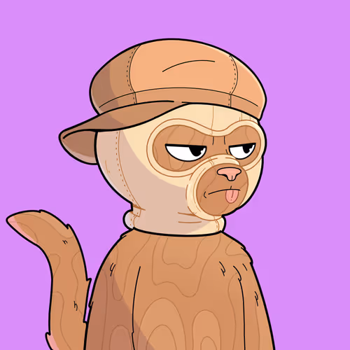 Masked Cats 