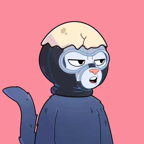 Masked Cats 