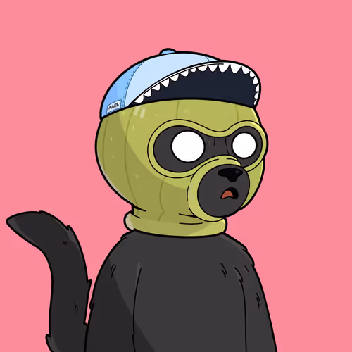 Masked Cats 