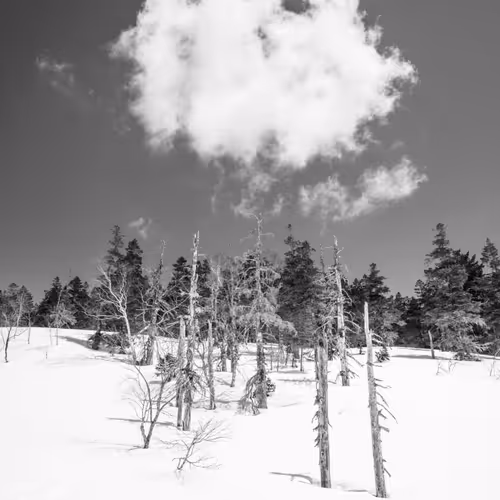 Meditations - ecyADRkm6m