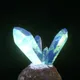320