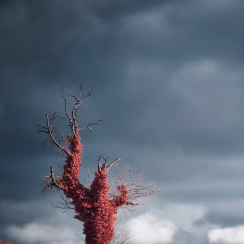 S P E C T R A