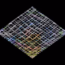 ReConstruction #7