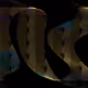 307