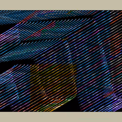 ReConstruction #273