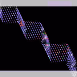 ReConstruction #274