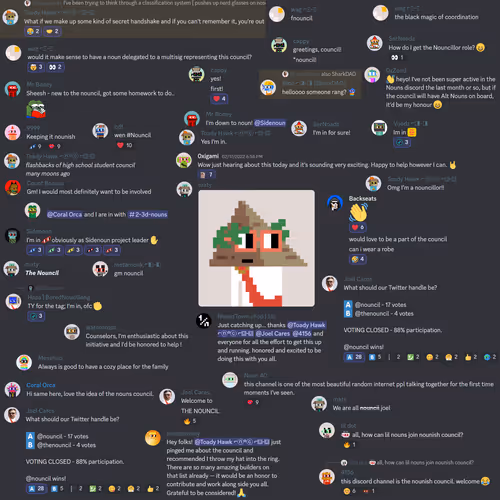 One Year Of Nouncil