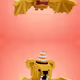 293