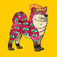 5049