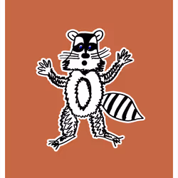 Respectful Racoon