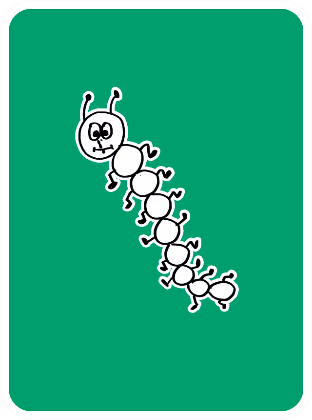Sensitive Centipede
