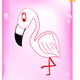 Forthright Flamingo