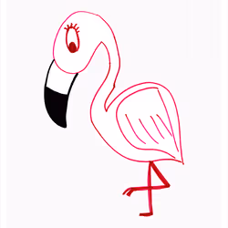 Forthright Flamingo