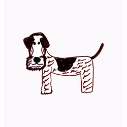 Insightful Irish Terrier