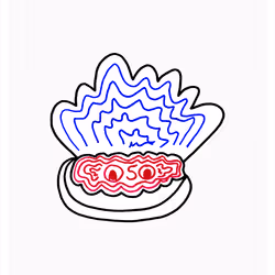 Observant Oyster