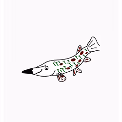 Grateful Gar
