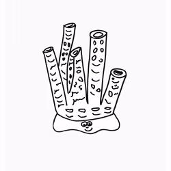 Like A Sponge