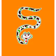 Authentic Anaconda