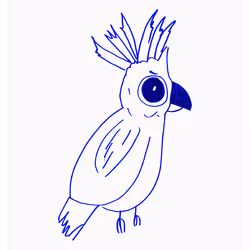 Courageous Cockatoo