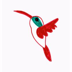 Humble Hummingbird