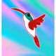 Humble Hummingbird