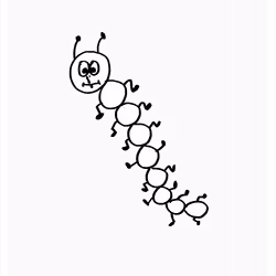 Sensitive Centipede