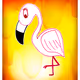 Forthright Flamingo