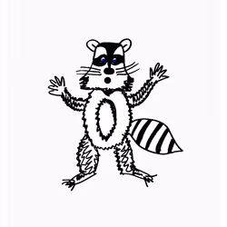 Respectful Racoon