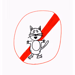 Cynical Cat