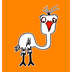 Enamoured Emu