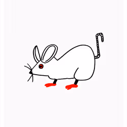 Reliable Rat