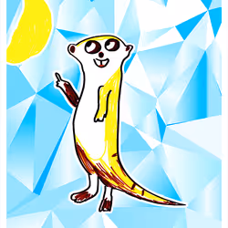 To The Moon Meerkat