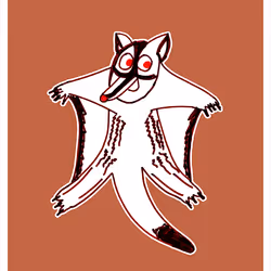 Gleeful Sugar Glider