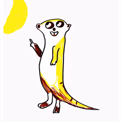To The Moon Meerkat