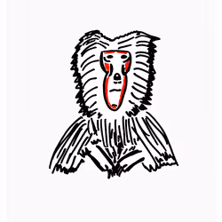 Bombastic Baboon