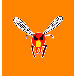 "Hot Shit" Hornet
