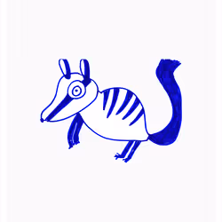 Noble Numbat